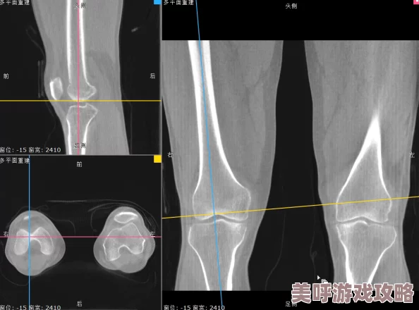 探索美国人制作性视频的文化现象与社会影响：从创作到消费的全景分析